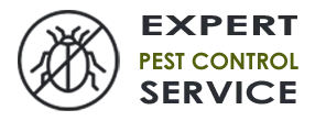 Exterminator Company Shoreline WA